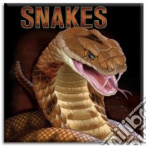 Snakes libro in lingua di Scott L. K., Mangiat Jeff (ILT), Smith Rodger (CON)