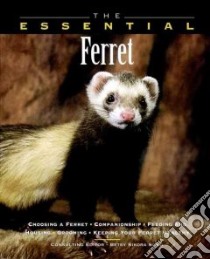 The Essential Ferret libro in lingua di Siino Betsy Sikora (EDT), Ilasenko Eric (PHT), Ilasenko Eric (EDT)
