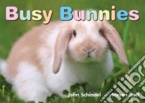 Busy Bunnies libro in lingua di Schindel John, Holt Steven (PHT)