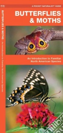 Butterflies & Moths libro in lingua di Kavanagh James, Leung Raymond (ILT)