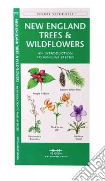 New England Trees & Wildflowers libro in lingua di Kavanagh James, Leung Raymond (ILT)