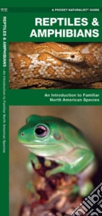 Reptiles and Amphibians libro in lingua di Kavanagh James, Leung Raymond (ILT)