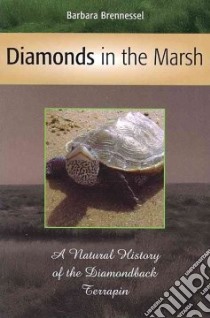 Diamonds in the Marsh libro in lingua di Brennessel Barbara