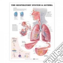 The The Respiratory System Anatomical Chart libro in lingua di Anatomical Chart Company (COR)
