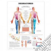 Dermatomes Anatomical Chart libro in lingua di Anatomical Chart Company (COR)