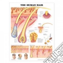 The Human Hair Anatomical Chart libro in lingua di Anatomical Chart Company (COR)