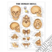The Human Skull Anatomical Chart libro in lingua di Anatomical Chart Company (EDT)