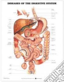 Diseases of the Digestive System Anatomical libro in lingua di Anatomical Chart Company (COR)