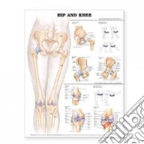 Hip And Knee Anatomical Chart libro in lingua di Anatomical Chart Company (COR), Scheuerman Dawn (ILT)