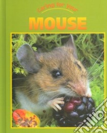 Caring for Your Mouse libro in lingua di Lupo Tamar