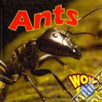 Ants libro in lingua di Hudak Heather C. (EDT)