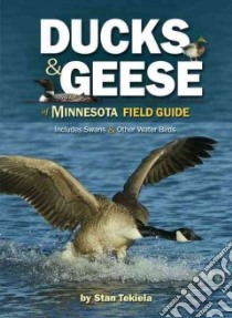 Ducks & Geese of Minnesota Field Guide libro in lingua di Tekiela Stan