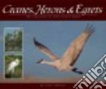 Cranes, Herons & Egrets libro in lingua di Tekiela Stan