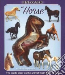Uncover a Horse libro in lingua di Gordon David George, Pringle Betsy Henry (EDT)