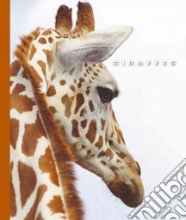 Giraffes libro in lingua di Lockwood Sophie