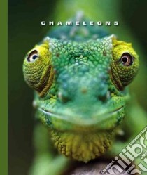 Chameleons libro in lingua di Lockwood Sophie