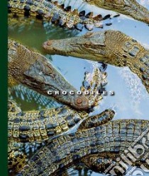 Crocodiles libro in lingua di Lockwood Sophie