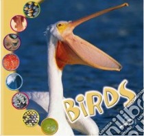 Birds libro in lingua di O'Hare Ted