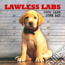 Lawless Labs libro in lingua di Ronnow Karin