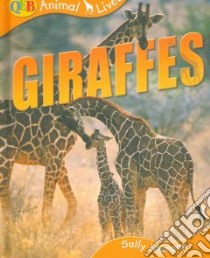 Giraffes libro in lingua di Morgan Sally