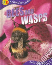 Bees and Wasps libro in lingua di Morgan Sally