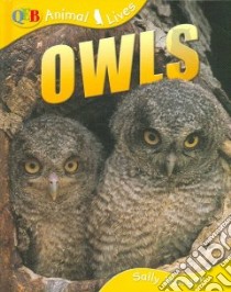 Owls libro in lingua di Morgan Sally