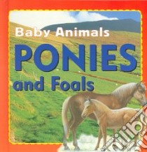 Ponies and Foals libro in lingua di Petty Kate