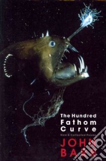 The Hundred Fathom Curve libro in lingua di Barr John