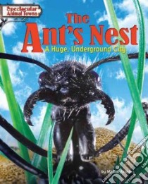 The Ant's Nest libro in lingua di Aronin Miriam