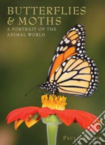 Butterflies & Moths libro in lingua di Sterry Paul