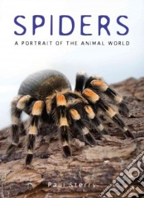 Spiders libro in lingua di Sterry Paul