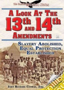 A Look at the Thirteenth and Fourteenth Amendments libro in lingua di Conway John Richard