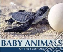 Baby Animals of the Seashore libro in lingua di Bredeson Carmen