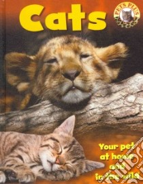 Cats libro in lingua di Head Honor