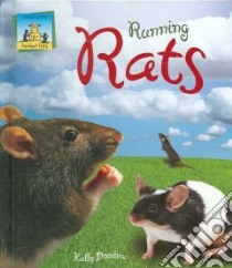 Running Rats libro in lingua di Doudna Kelly, Nobens C. A. (ILT)