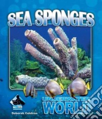 Sea Sponges libro in lingua di Coldiron Deborah