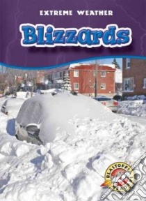 Blizzards libro in lingua di Manolis Kay