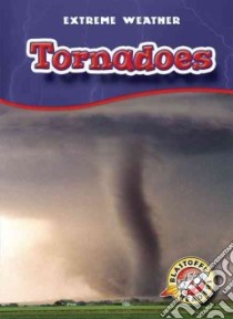 Tornadoes libro in lingua di Wendorff Anne