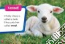 Baby Sheep libro in lingua di Leaf Christina