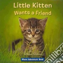 Little Kitten Wants a Friend libro in lingua di Teitelbaum Michael, Bennett Elizabeth (EDT)