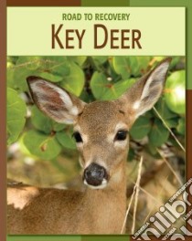 Key Deer libro in lingua di Gray Susan Heinrichs