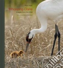 Whooping Crane libro in lingua di Nigge Klaus (PHT), Schlyer Krista (INT), Archibald George (FRW)