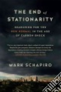 The End of Stationarity libro in lingua di Schapiro Mark