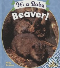 It's a Baby Beaver! libro in lingua di Doudna Kelly