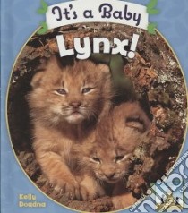 It's a Baby Lynx libro in lingua di Doudna Kelly