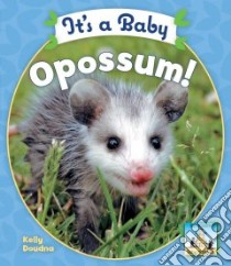 It's a Baby Opossum libro in lingua di Doudna Kelly