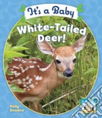 It's a Baby White-Tailed Deer! libro in lingua di Doudna Kelly