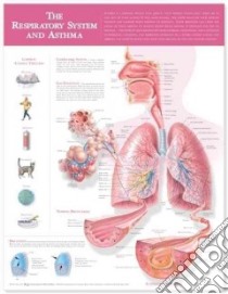The Respiratory System and Asthma Anatomical Chart libro in lingua di Anatomical Chart Company