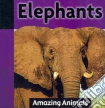 Elephants libro in lingua di Dineen Jacqueline