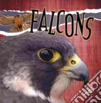 Falcons libro in lingua di Lundgren Julie K.